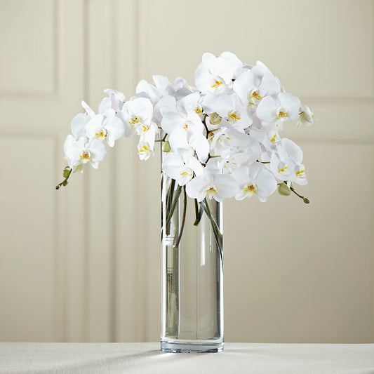 White Phalaenopsis Bouquet –  Dejavu Florist And Balloons, Durham NC