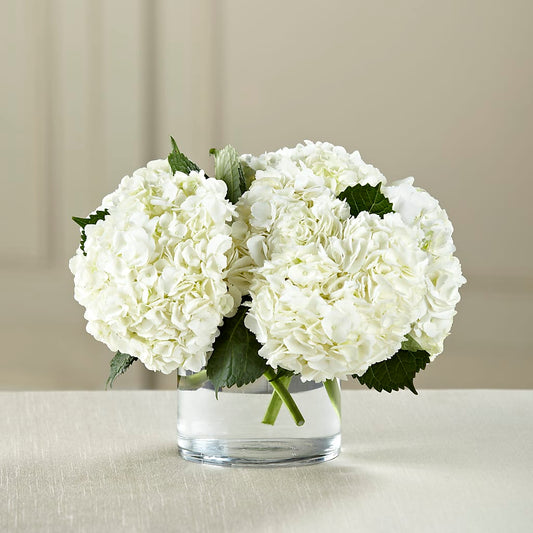 White Hydrangea Bouquet –  Dejavu Florist And Balloons, Durham NC
