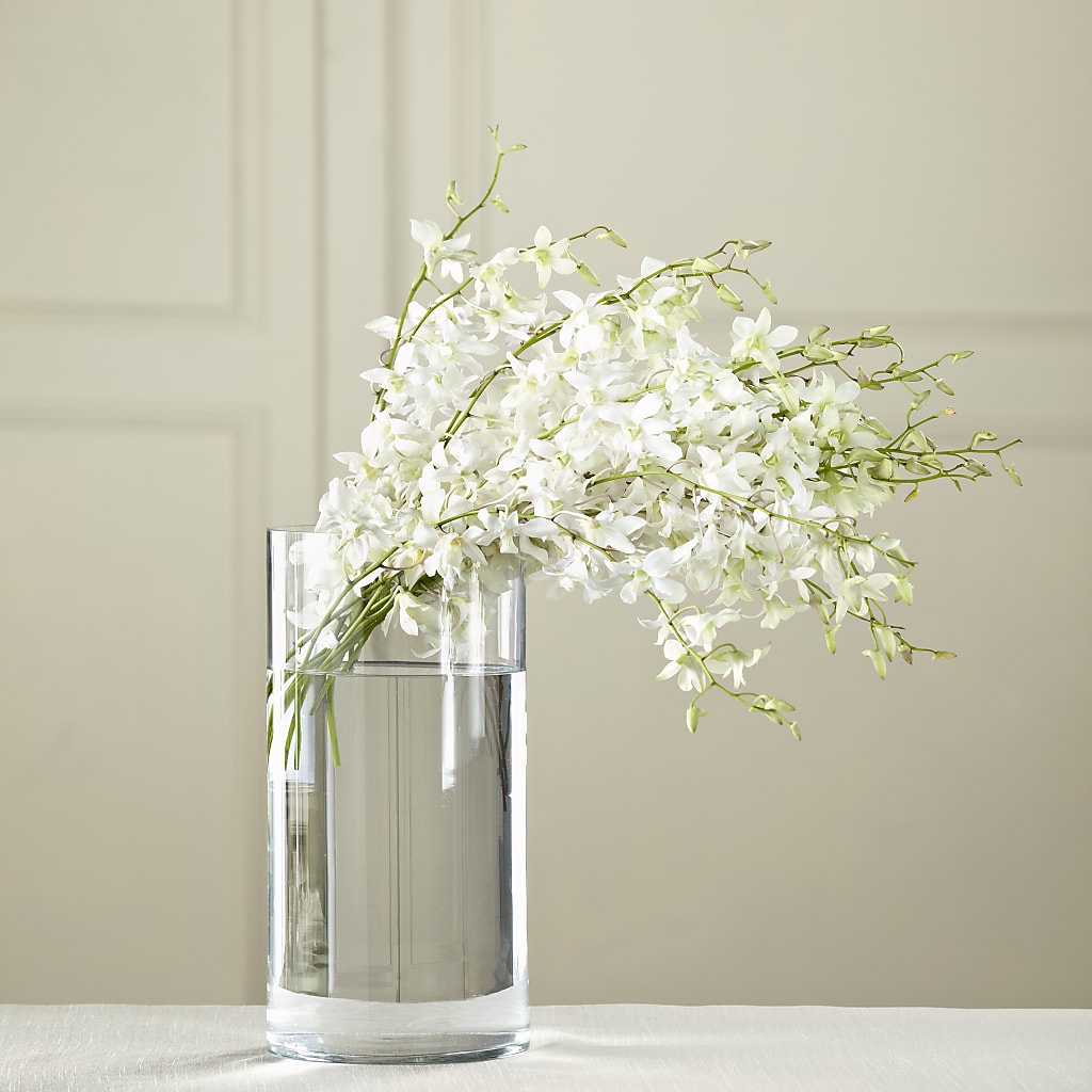 White Dendrobium Bouquet –  Dejavu Florist And Balloons, Durham NC